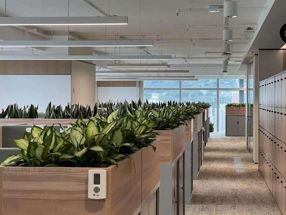 Đèn Linear treo trần