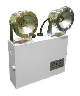 Đèn sự cố (Emergency light)
