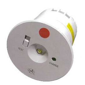 Đèn sự cố (lắp âm trần) (Recessed emergency light)